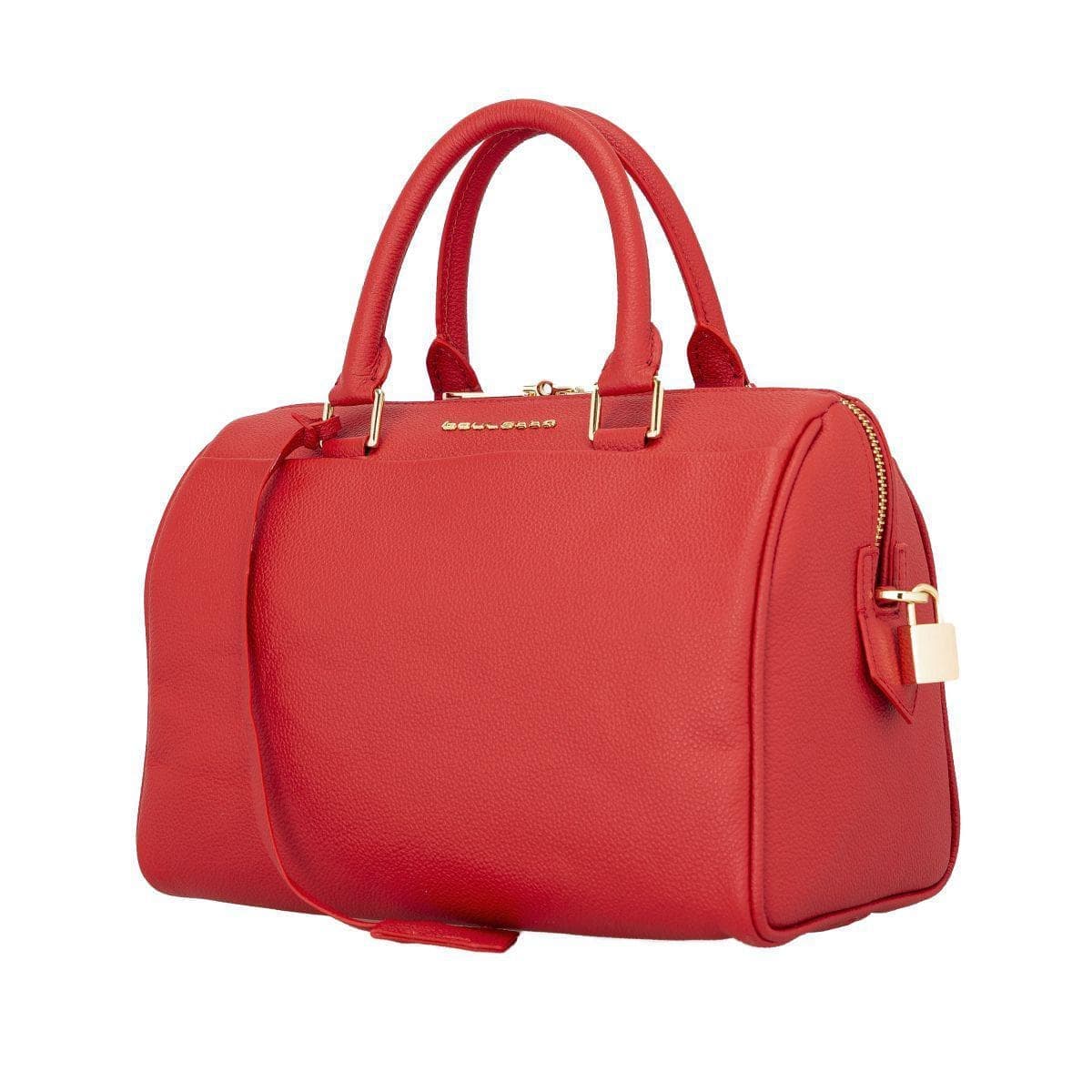 Shine Leather Women's Handbag